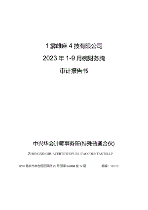 昆仑万维：北京绿钒新能源科技有限公司审计报告.docx