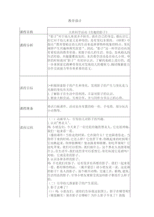 幼儿园一等奖优质公开课：大班科学《有趣的影子》教学设计.docx