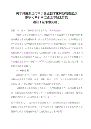 关于开展湛江市中小企业数字化转型试点城市数字化牵引单位遴选申报工作的通知（2023征求意见稿）.docx