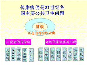 【精品PPT】传染病仍是21世纪各国主要公共卫生问题.ppt