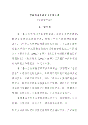 市级商务专项资金管理办法（征求意见稿）.docx