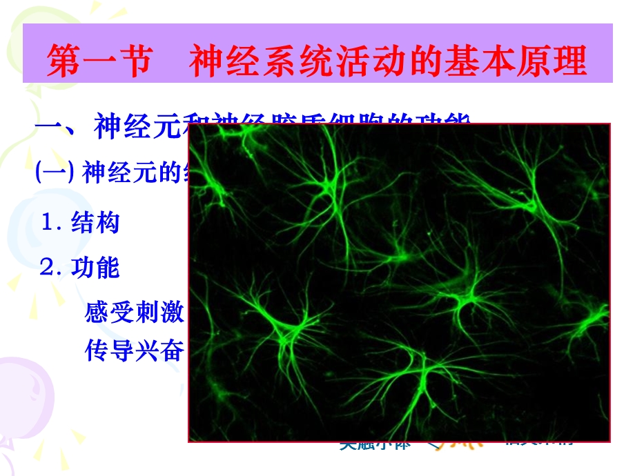 神经系统功能总论.ppt_第3页