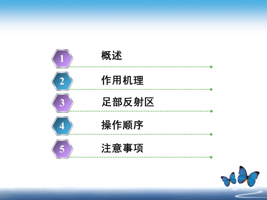 足部反射区疗法.ppt.ppt_第2页