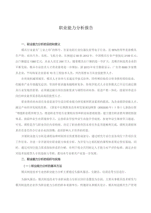 职业能力分析报告.docx