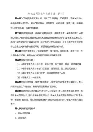 制造公司问责制实施办法（试行）.docx