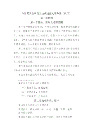 珠海某某公司员工违规违纪处理办法（试行）.docx