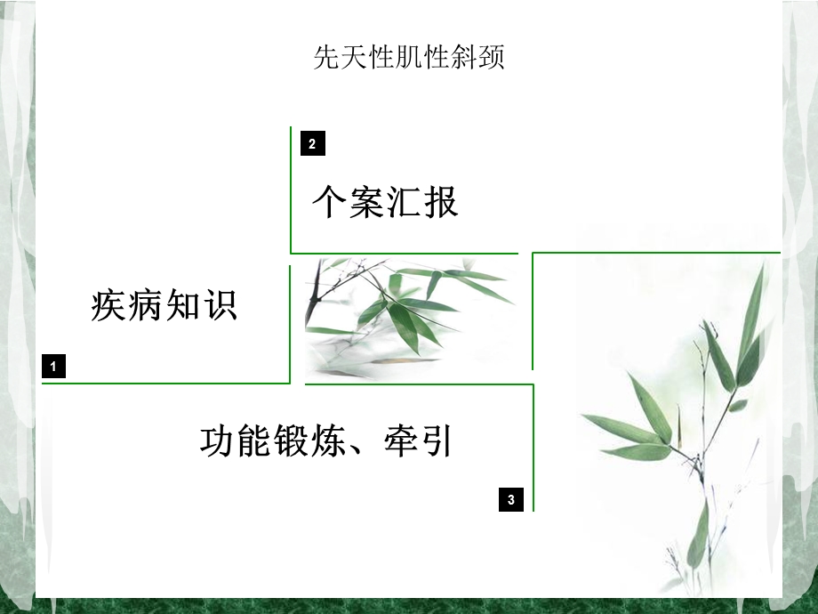 小儿先天性斜颈的护理1.ppt.ppt_第3页