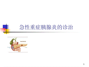 急性重症胰腺炎的诊治.ppt