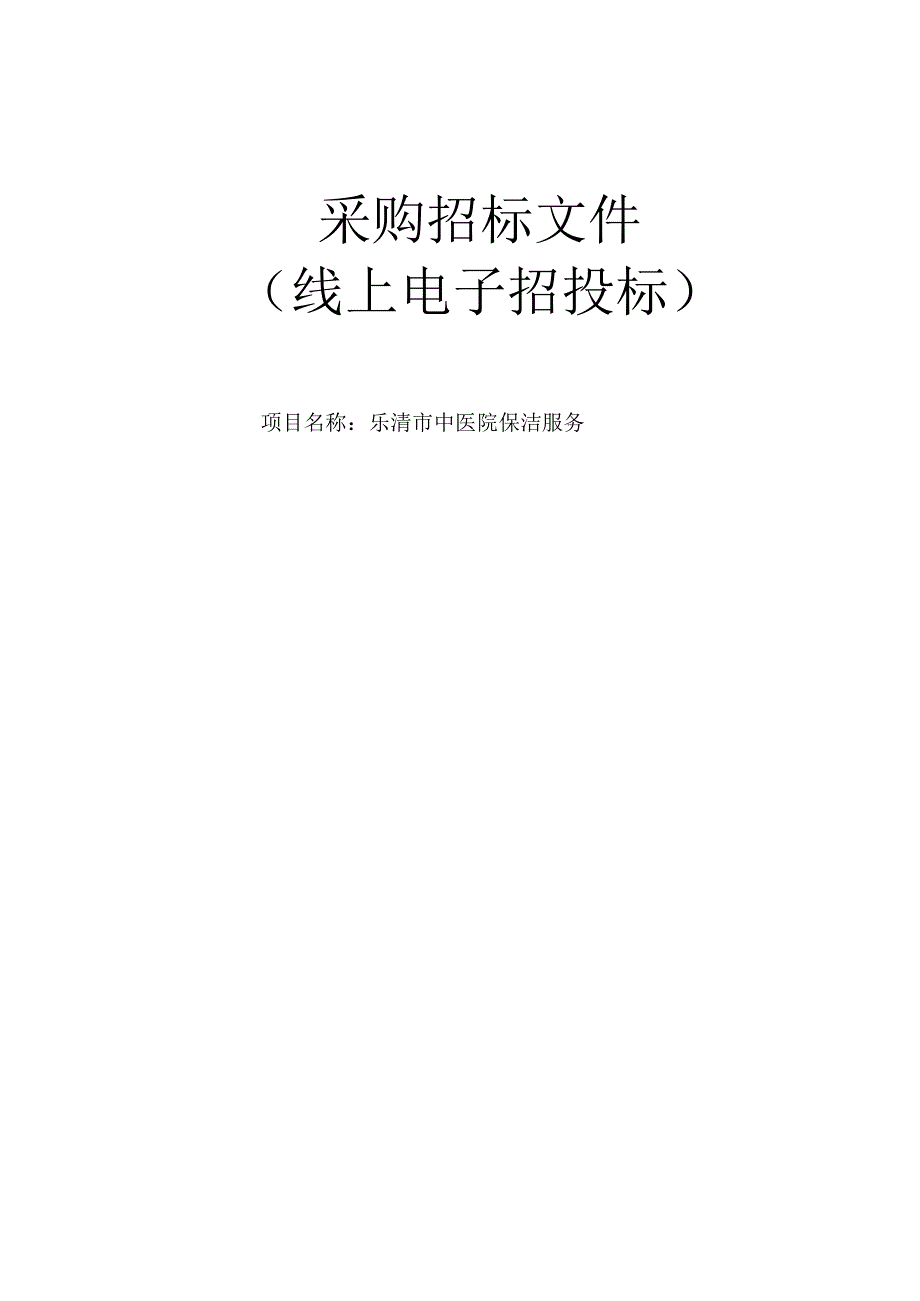 中医院保洁服务招标文件.docx_第1页