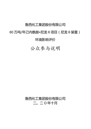 鲁西化工集团股份有限公司60万吨年己内酰胺尼龙6项目尼龙6装置环境影响评价公众参与说明.docx