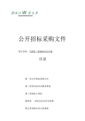 大学气液固三相滴流床反应器项目招标文件.docx