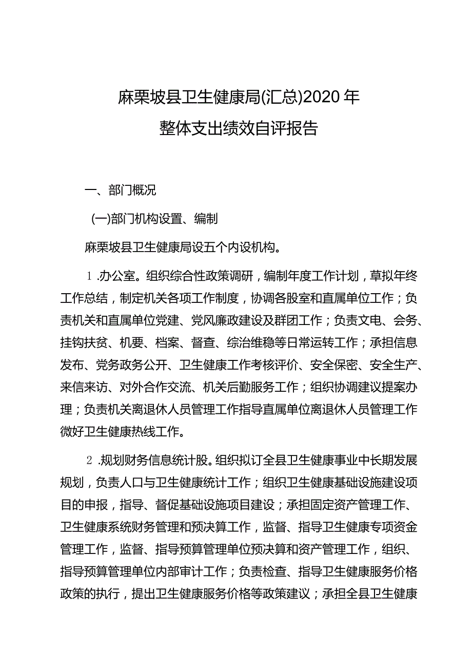 麻栗坡县卫生健康局汇总2020年整体支出绩效自评报告.docx_第1页