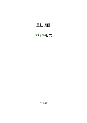 悬挂项目可行性报告.docx