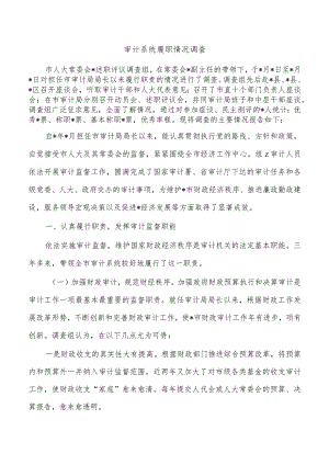 审计系统履职情况调查.docx