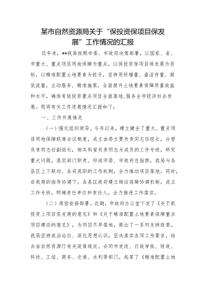 某市自然资源局关于“保投资保项目保发展”工作情况的汇报.docx