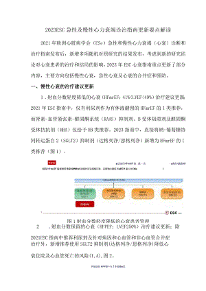 2023 ESC急性及慢性心力衰竭诊治指南更新要点解读.docx