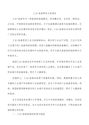 工业+旅游研究分析报告.docx