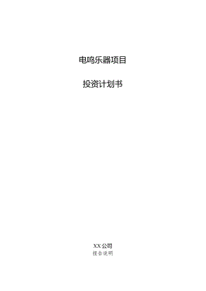 电鸣乐器项目投资计划书.docx