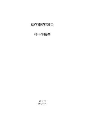 动作捕捉棚项目可行性报告.docx