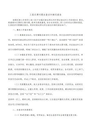 工委反馈问题自查自纠情况报告.docx