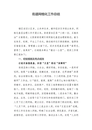 街道网格化工作总结.docx