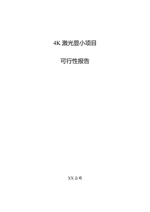 4K激光显示项目可行性报告.docx