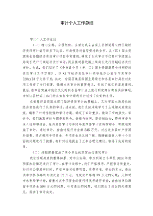 审计个人工作总结.docx