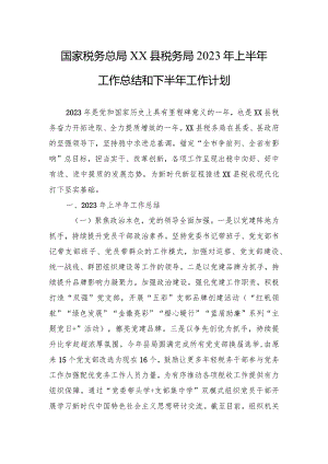 国家税务总局XX县税务局2023年上半年工作总结和下半年工作计划.docx