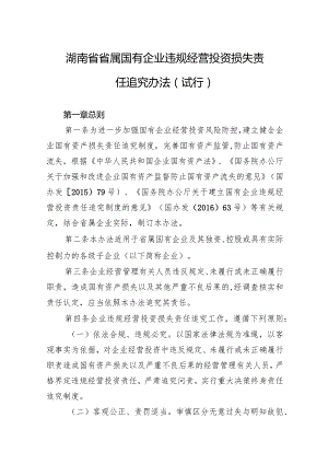 湖南省省属国有企业违规经营投资损失责任追究办法（试行）.docx