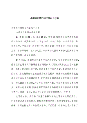 小学实习教师自我鉴定十二篇.docx