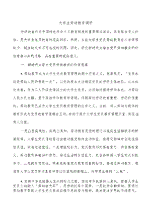 大学生劳动教育调研.docx