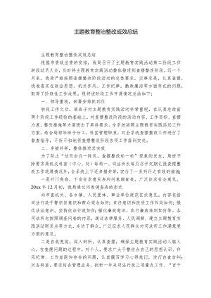 主题教育整治整改成效总结.docx