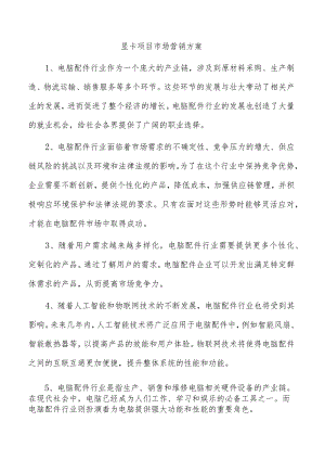 显卡项目市场营销方案.docx