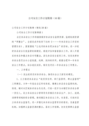 公司安全工作计划集锦（30篇）.docx