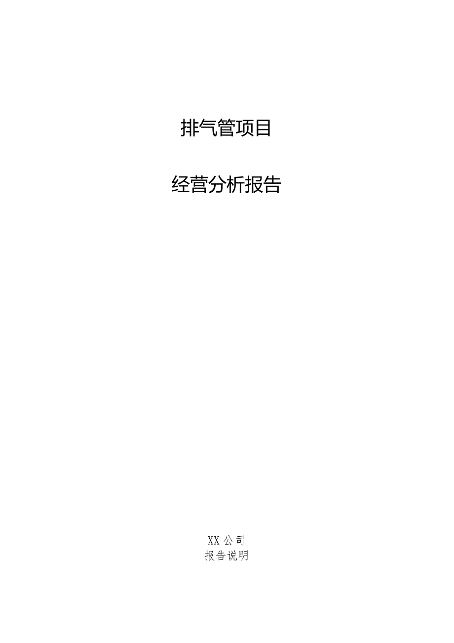 排气管项目经营分析报告.docx_第1页