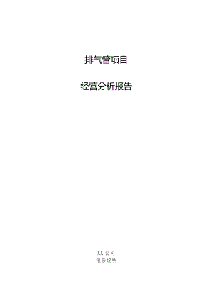 排气管项目经营分析报告.docx