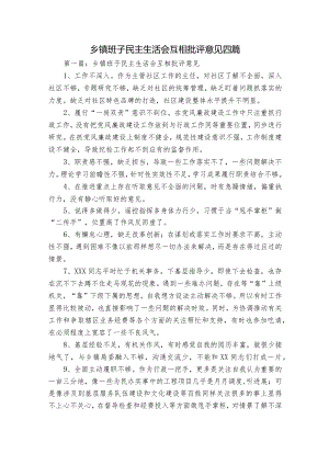 乡镇班子民主生活会互相批评意见四篇.docx