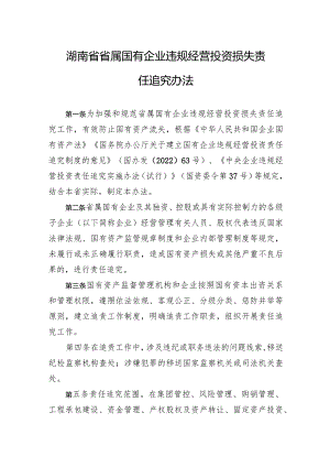 湖南省省属国有企业违规经营投资损失责任追究办法.docx