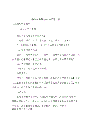 小班高和矮教案和反思5篇.docx