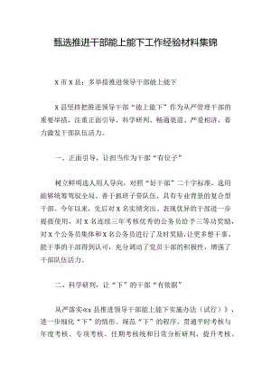 甄选推进干部能上能下工作经验材料集锦.docx