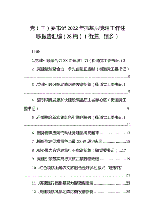 党（工）委书记2023年抓基层党建工作述职报告汇编（28篇）（街道、镇乡）.docx