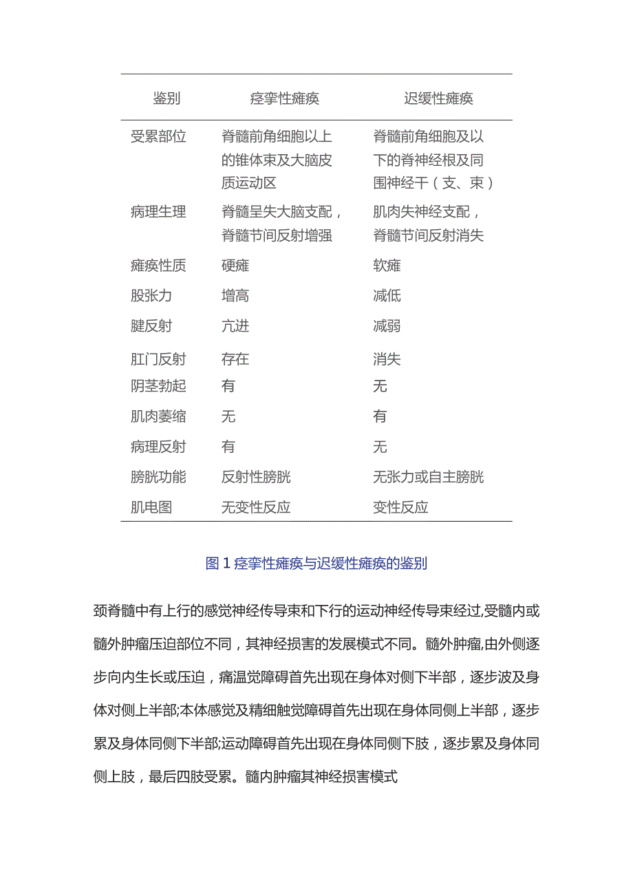 2023颈椎肿瘤的神经学表现.docx_第3页