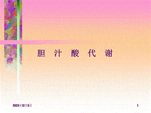 胆汁酸代谢（精品PPT） .ppt