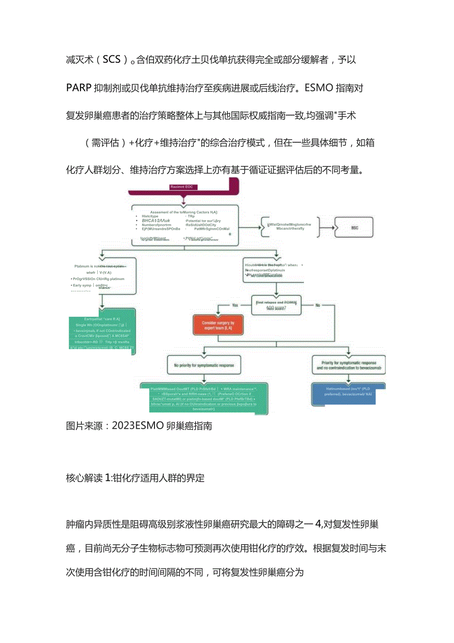 2023 ESMO卵巢癌指南：国际权威指南看复发卵巢癌维持治疗.docx_第2页