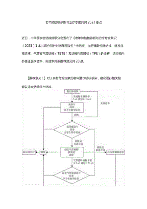 老年肺结核诊断与治疗专家共识2023要点.docx