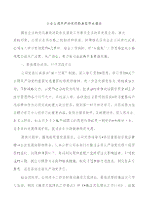 企业公司从严治党经验典型亮点做法.docx