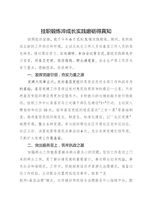 市中青班学员公安局党员干部到镇（街）体悟实训心得体会.docx