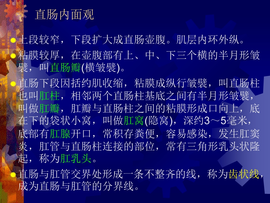 中医外科肛门直肠疾病.ppt_第3页