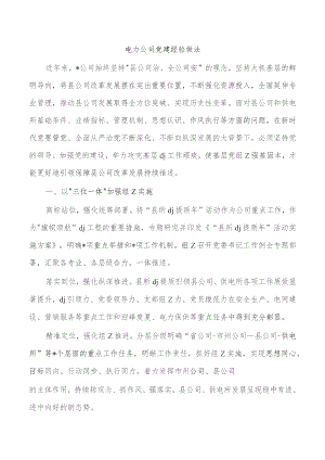 电力公司党建经验做法.docx