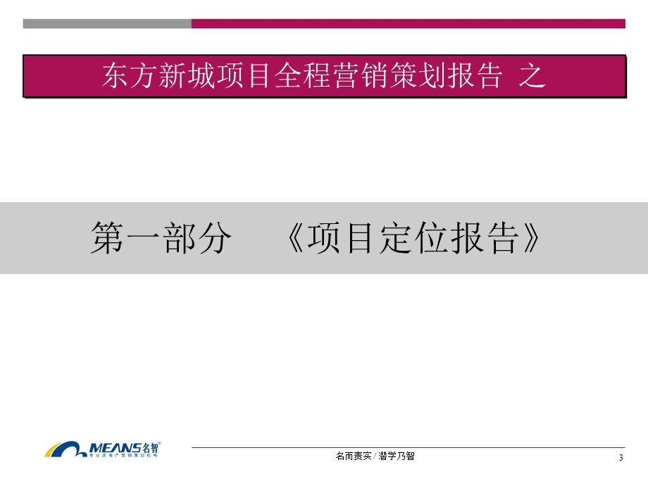 湖南益阳东方新城项目整体营销策划报告.ppt_第3页